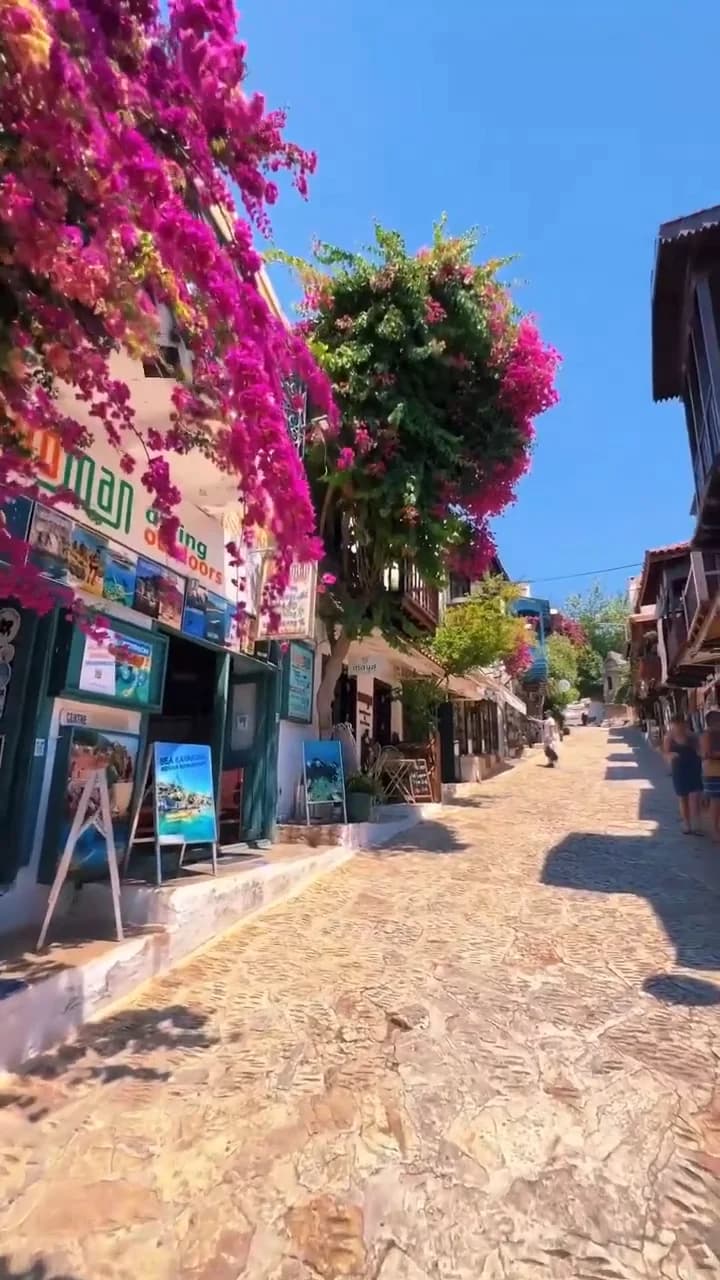 Hakkımızda 2